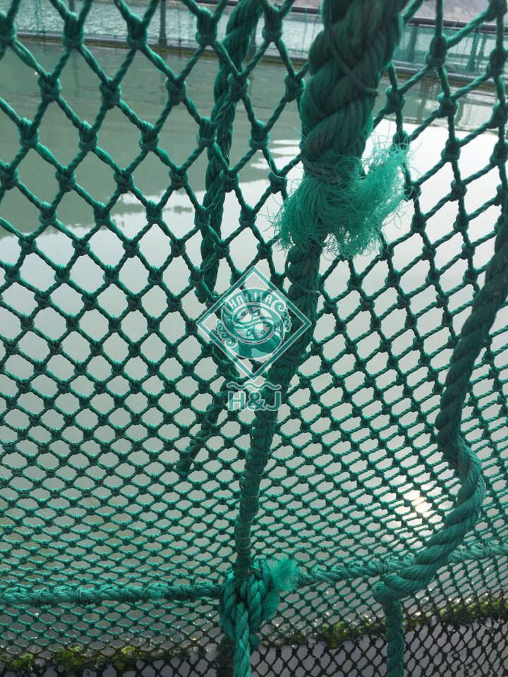 Net clothing products